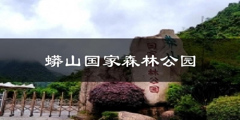 蟒山国家森林公园天气预报十五天