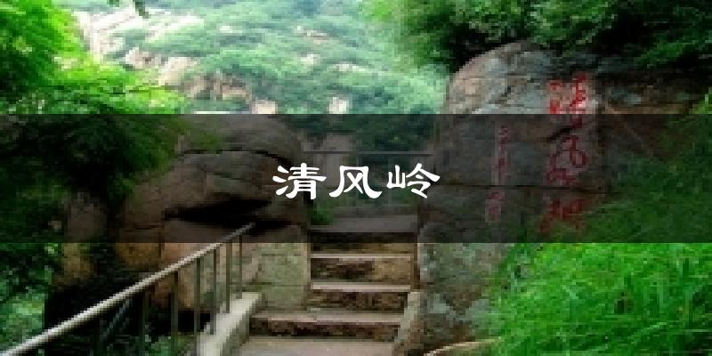 清风岭天气预报十五天