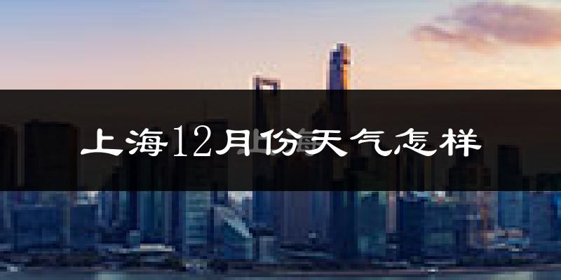 上海12月份天气怎样?上海十二月冷吗?