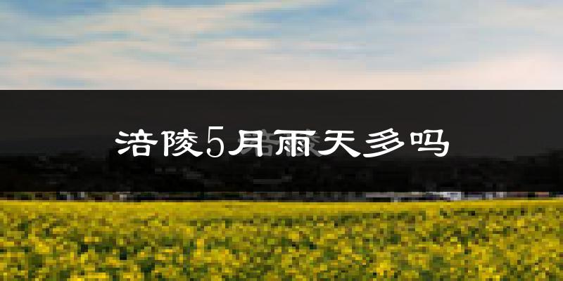 涪陵5月雨天多吗?