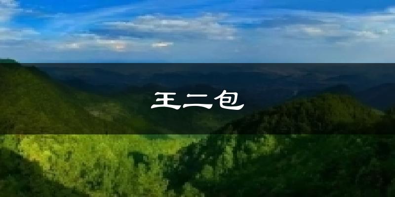 王二包天气预报十五天
