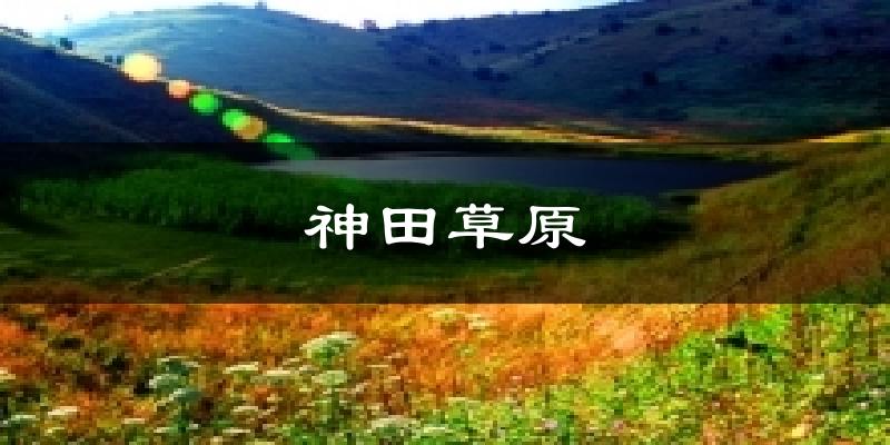 神田草原天气预报十五天