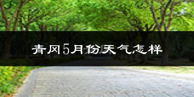 青冈县5月份天气如何?很冷吗?