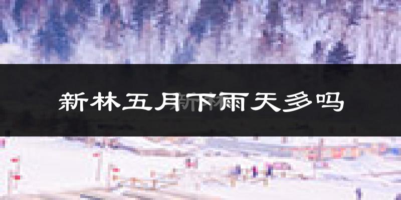 新林五月下雨天多吗?新林5月份降雨量多少?