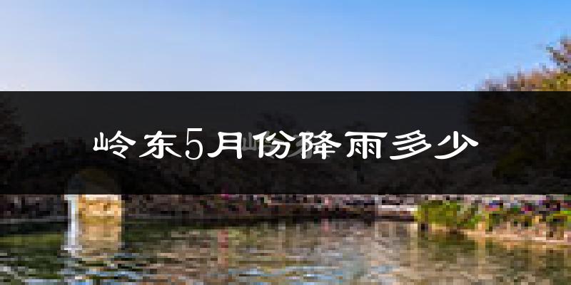 岭东5月份降雨多少?