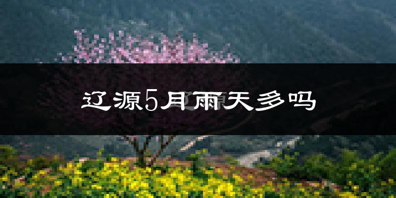 辽源5月雨天多吗?