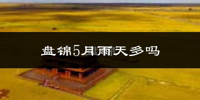盘锦5月雨天多吗?