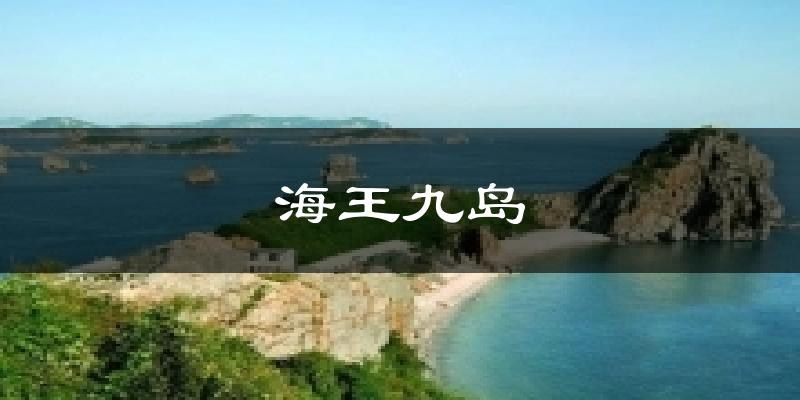 海王九岛今日天气