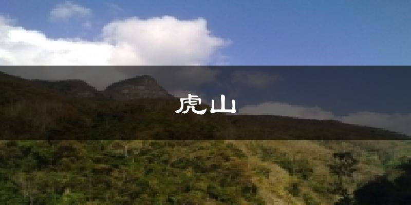 虎山天气预报十五天