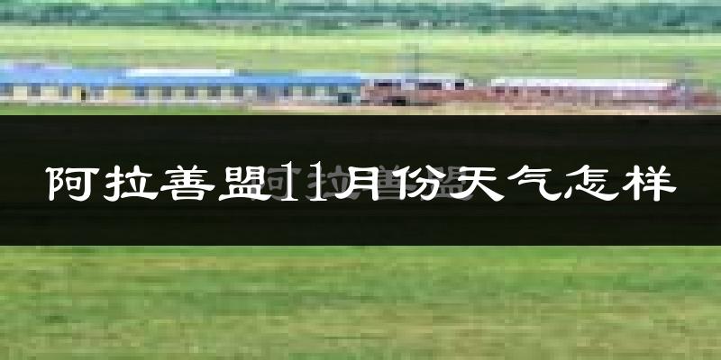 阿拉善盟11月份天气怎样?阿拉善盟十一月冷吗?