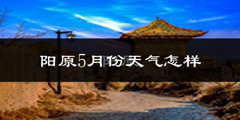 阳原县5月份天气如何?很热吗?