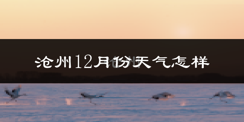 沧州12月份天气怎样?沧州十二月冷吗?