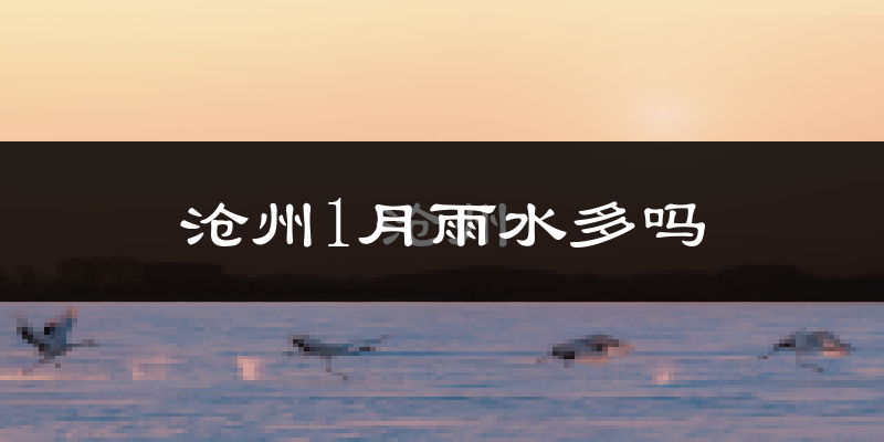 沧州1月雨水多吗?
