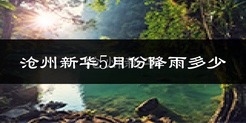 沧州新华5月份降雨多少?