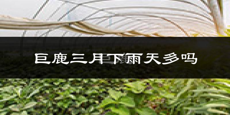 巨鹿三月下雨天多吗?巨鹿3月份降雨量多少?