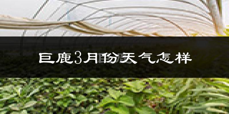 巨鹿县3月份天气如何?冷热情况怎么样?