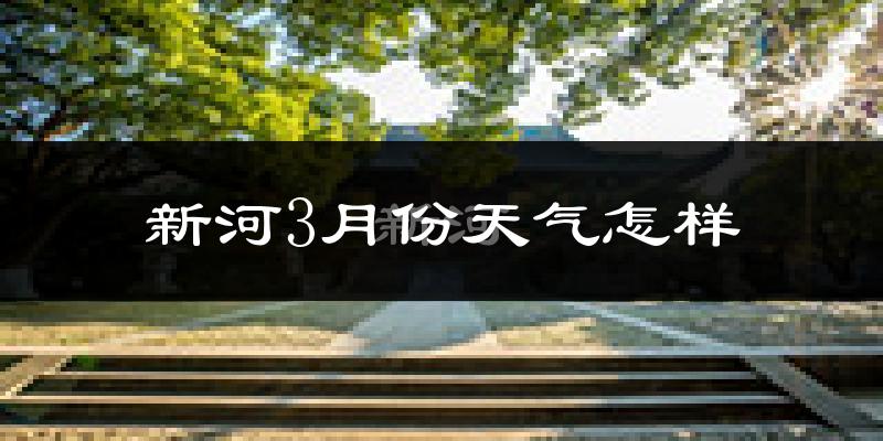 新河县3月份天气如何?冷吗?过去两年3月天气数据分析