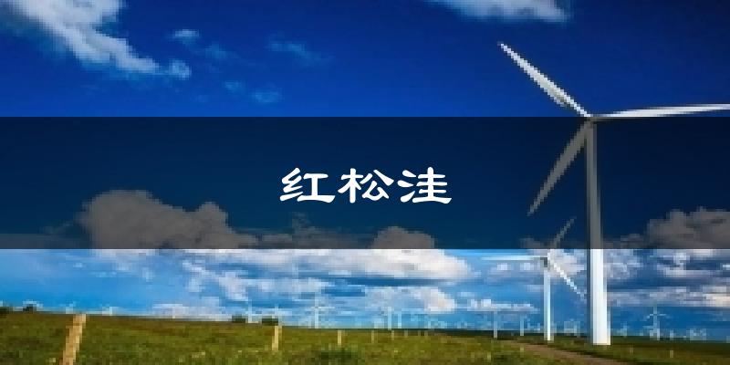 红松洼天气预报十五天