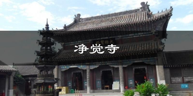 净觉寺天气预报十五天