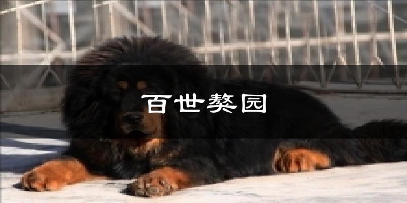 百世獒园天气预报十五天