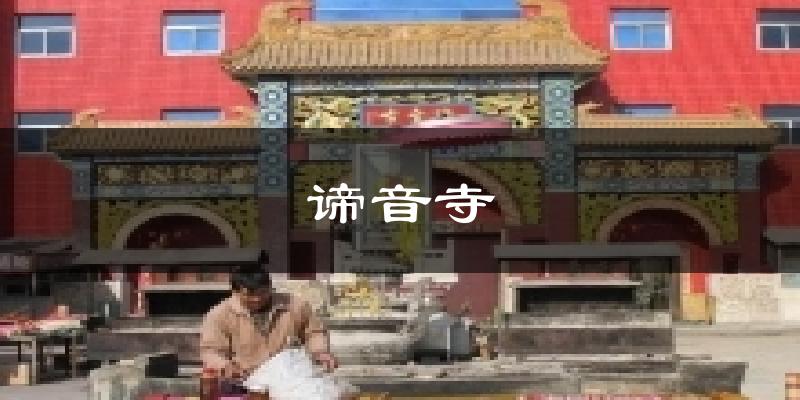 谛音寺天气预报十五天