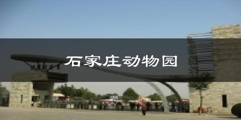 石家庄动物园天气预报十五天