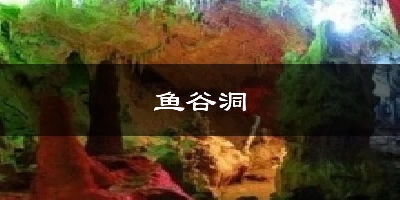 鱼谷洞天气预报十五天