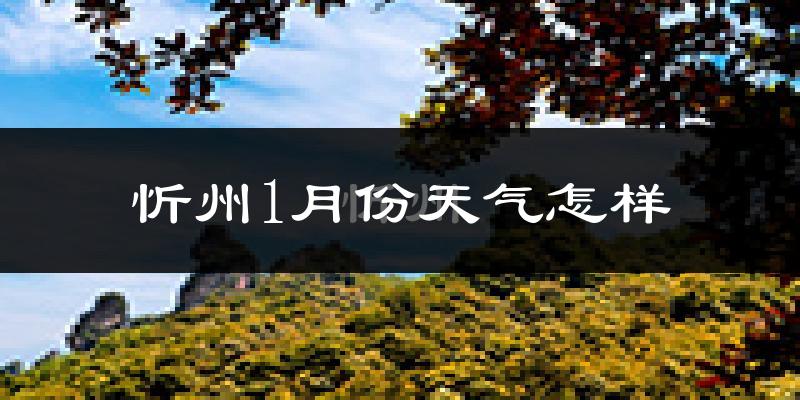忻州市1月份天气如何?很冷吗?