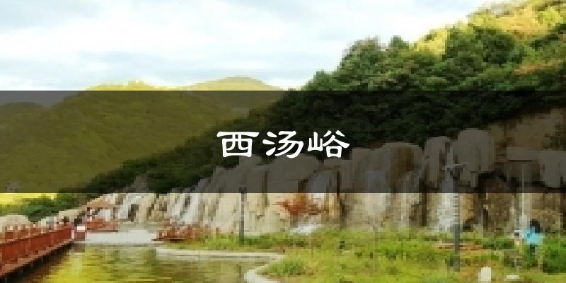 汉中西汤峪天气预报未来一周
