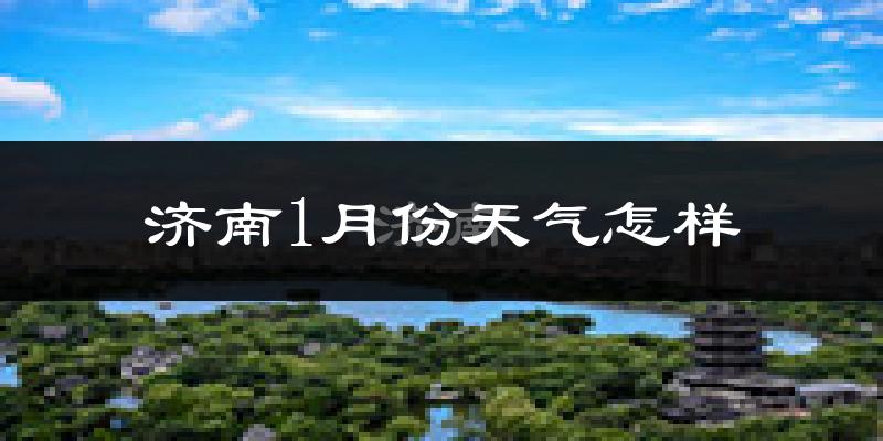 济南市1月份天气如何?很冷吗?