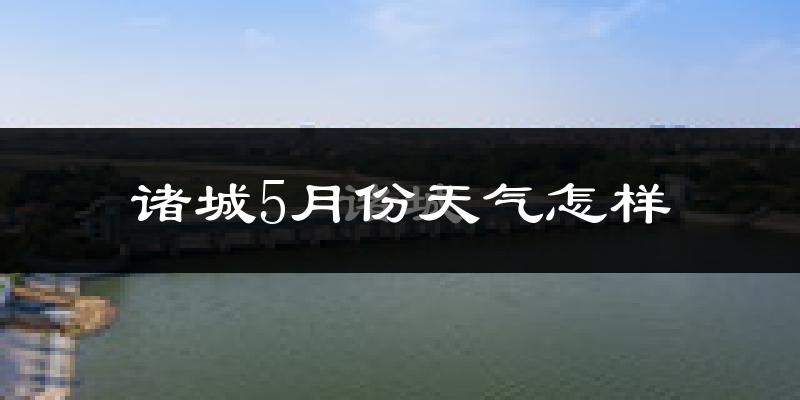 诸城5月份天气如何?很热吗?2024与2025年数据对比分析