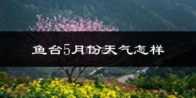 鱼台县5月份天气如何?很热吗?