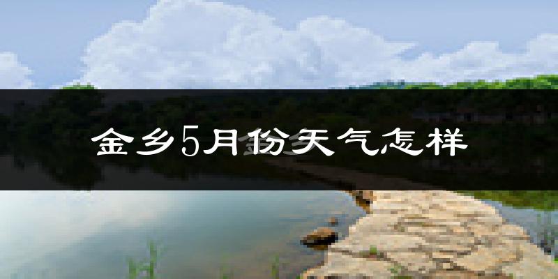 金乡县5月份天气如何?很热吗?
