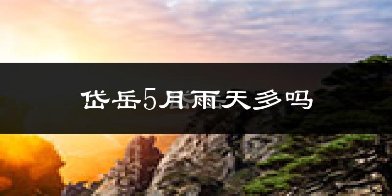 岱岳5月雨天多吗?