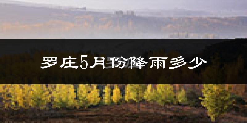 罗庄5月份降雨多少?
