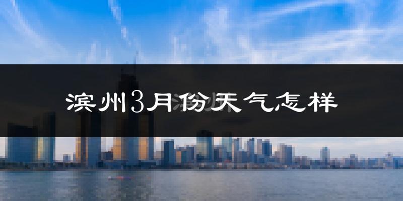 滨州3月份天气如何?冷吗?过去两年天气数据分析
