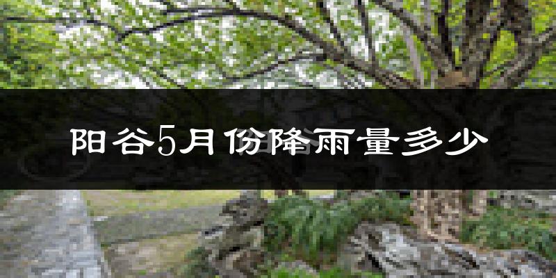 阳谷5月份降雨量多少?阳谷五月下雨多吗?