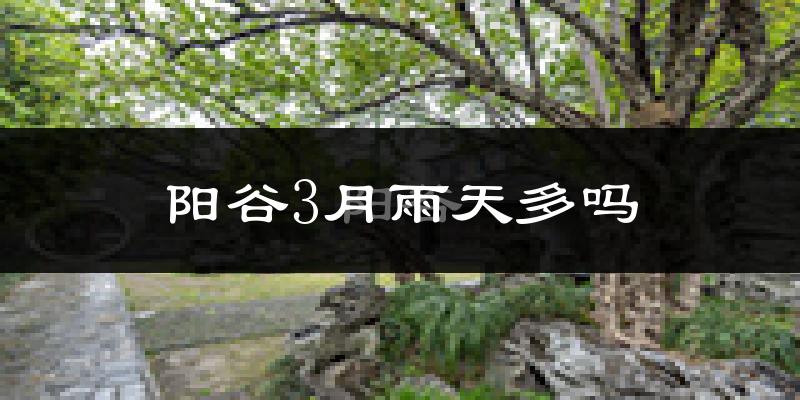 阳谷3月雨天多吗?