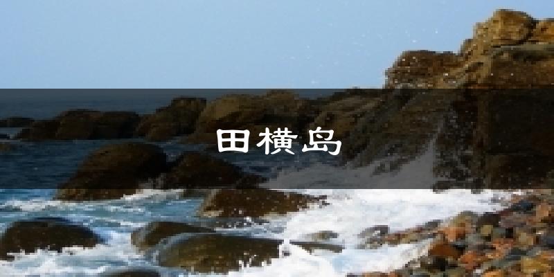 田横岛天气预报十五天
