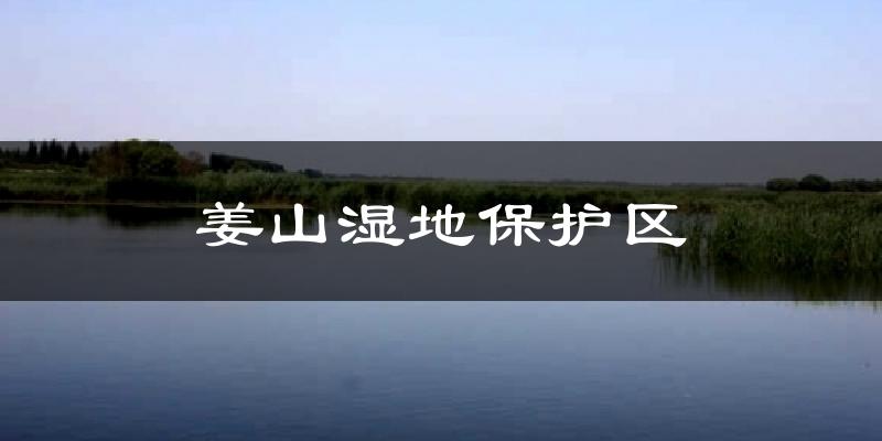 姜山湿地保护区天气预报十五天