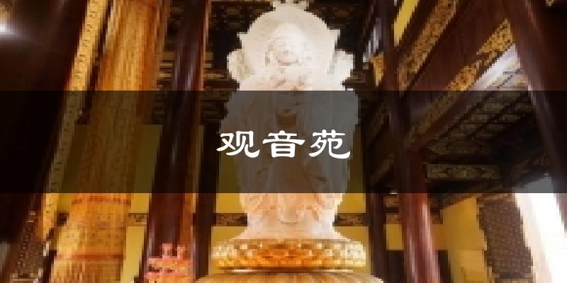 观音苑天气预报十五天