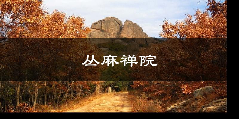 丛麻禅院天气预报十五天
