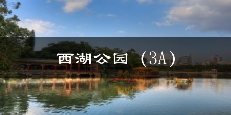 西湖公园(3A)气温
