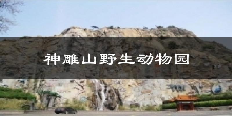 神雕山野生动物园天气预报十五天