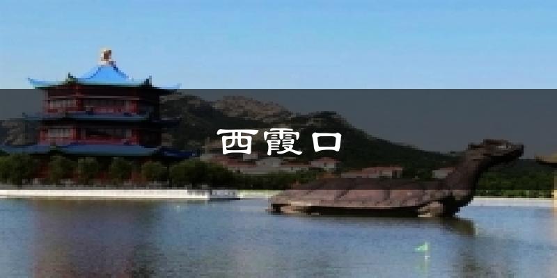 西霞口天气预报十五天