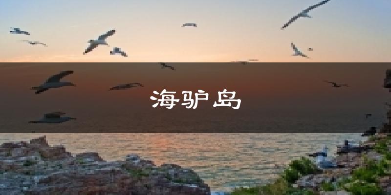 海驴岛天气预报十五天