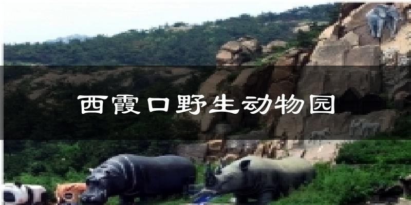 西霞口野生动物园天气预报十五天