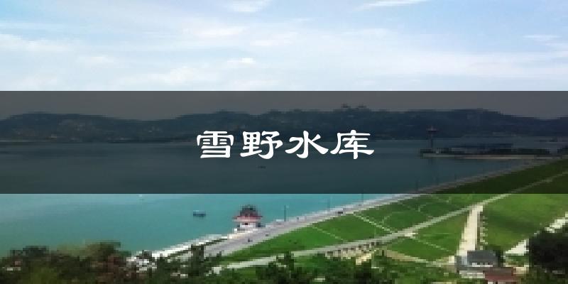 雪野水库天气预报十五天