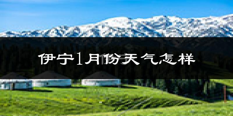 伊宁市1月份天气如何?很冷吗?