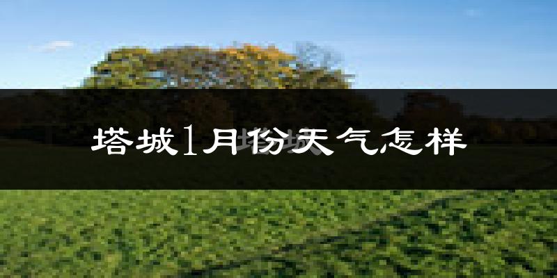 塔城市1月份天气如何?很冷吗?